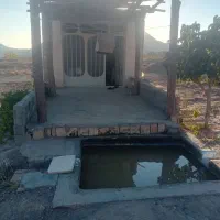 زمین فروشی|فروش زمین و ملک کلنگی|برزک, |دیوار