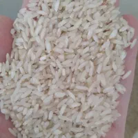 برنج عنبربو درجه یک چرداول