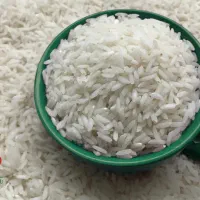 برنج طارم هاشمی کشت اول