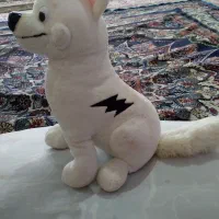 عروسک|اسباب‌بازی بچه|نورآباد, |دیوار