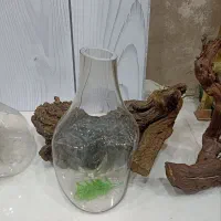 گلدان شیشه ای با پایه ی مو انگور|صنایع دستی و سایر لوازم تزئینی|بومهن, |دیوار