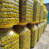 فروش زیتون گریل  باربیکیو  زیتون سوپر ویژه|عمده‌فروشی|اصفهان, درب کوشک|دیوار
