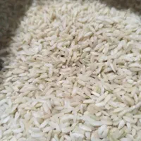 برنج چمپا خوش عطر بوی خوب چین لوداب