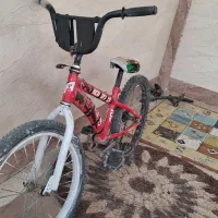 دوچرخه۲۰ سالم|دوچرخه، اسکیت، اسکوتر|شمیل, |دیوار