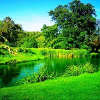 سیمکارت خوش گفتار کد پنج