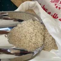 برنج لاشه عطری یاس طارم درجه یک «کالابرگ»