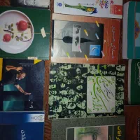 کتاب|کتاب و مجله ادبی|فردیس, منظریه|دیوار