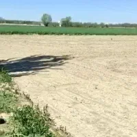 اجاره زمین کشاورزی در جاده سرچم|اجارهٔ دفتر صنعتی، کشاورزی، تجاری|میاندوآب, |دیوار