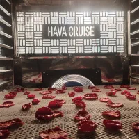 میوه خشک کن پرو گازی برقی ۱۵۰-۲۰۰کیلوگرم تمیز و نو