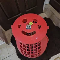 سبد خمره ایی بزرگ|ظروف نگهدارنده، پلاستیکی، یکبارمصرف|اصفهان, باغ فدک|دیوار