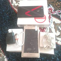 گوشی
