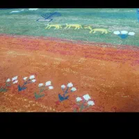 وسایل منزل،با یک زمین هفتادتومن