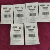 اقامت وغذا مشهدمقدس|تور و چارتر|یزد, |دیوار