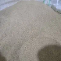 بذر اصلاح شده موجوده