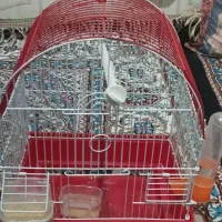 قفس پرنده