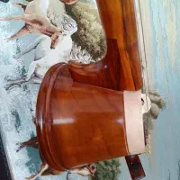 کمانچه شهباز|سازهای سنتی|کرمانشاه, |دیوار