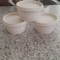 ظرف یکبارمصرف گیاهی