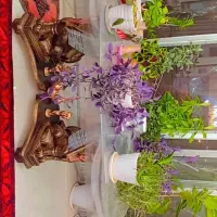 میز شیشه ایی|مبلمان خانگی و میز عسلی|سنندج, |دیوار