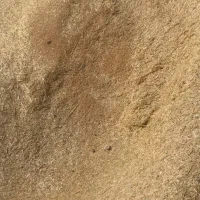 فروش کاه کنسانتره ذورت جو|حراج|سده (خراسان جنوبی), |دیوار