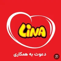 ویزیتور مواد غذایی خانم