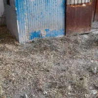 تعدادی چهارپایه، تانکر، کانکس