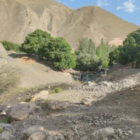 خریدار ارزن به تناژ بالا