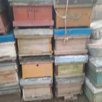 صندوق زنبور عسل