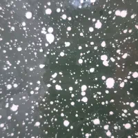 استخدام نیروی ساده خانم در شکوهیه