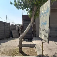 زمین تجاری|فروش مغازه و غرفه|ماهدشت, |دیوار