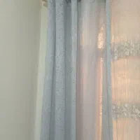 شانل کیپورطوسی رنگ