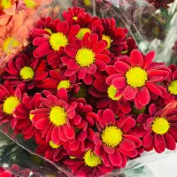 گل‌جهت‌حجاج‌وکربلایی‌های‌عزیز