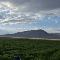 ۱۲۰۰۰ متر زمین  همراه حقابه ومجوز برق