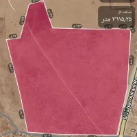 زمین برای کشت گندم