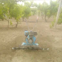 شخمزنی|خدمات باغبانی و درختکاری|ارومیه, |دیوار