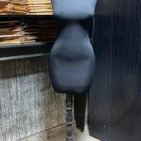 دو عدد مانکن