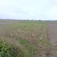 فروش زمین 1000 متری / شخصی***