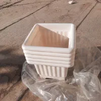 گلدون نو|گل و گیاه طبیعی|بومهن, |دیوار