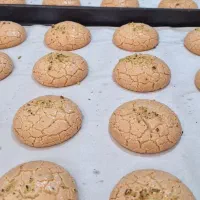 مرکز پخش شیرینی قنادی|خدمات پذیرایی، مراسم|فیرورق, |دیوار