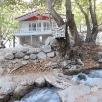 اجاره ویلا باغ در بهترین لوکیشن شیوند