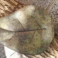 زیر قابلمه ای نسوز|سفره، حوله، دستمال آشپزخانه|خمینی‌شهر, |دیوار