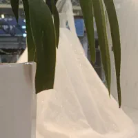 لباس عروس و عقد