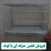 یک عدد قفسی حرفه ای نولونه وقفس|لوازم جانبی حیوانات|اصفهان, احمدآباد|دیوار