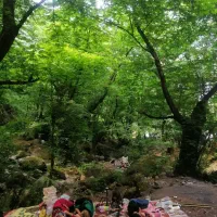 اجاره-19هکتارزمین-کشاورزی-بهمراه-آب