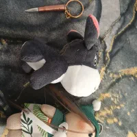 سه ععد جا کلیدی