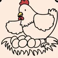 فروش-مرغداری-تخم-گذار