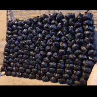 ذغال بدون خاکع یا ریزه ذغال درشت هستن