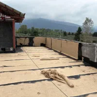 ایزوگام قیرگونی اسفالت|خدمات پیشه و مهارت|چالوس, |دیوار