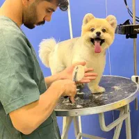 آرایش حیوانات در منزل شما