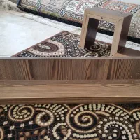 شلف|کتابخانه، شلف، قفسه‌های دیواری|قم, باغ کرباسی|دیوار