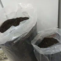 چای خشک چین اول۱۴۰۵بابهترین کیفیت واز یک باغ رسید.